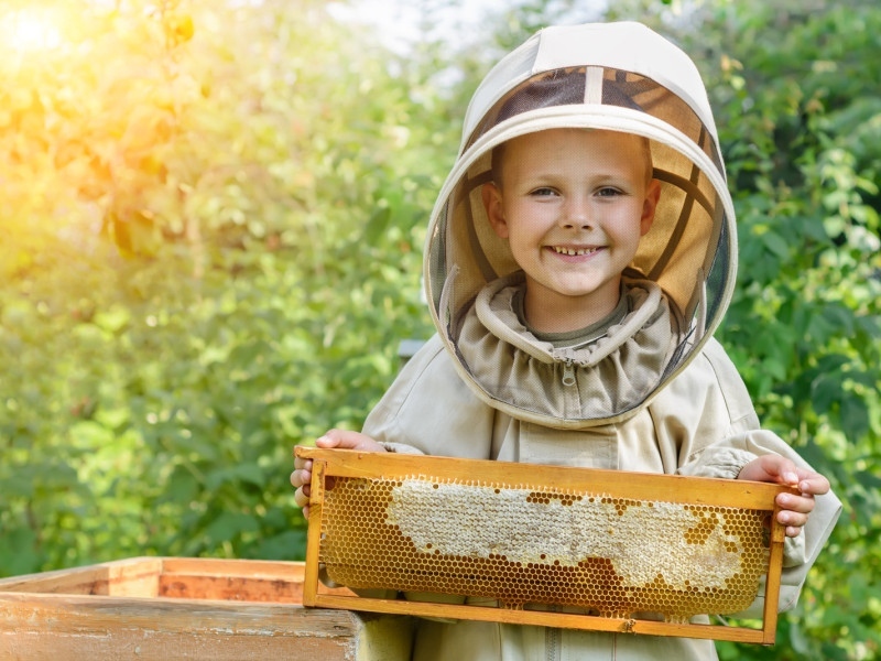 foto:Zapraszamy dzieci i młodzież na warsztaty pszczelarskie!